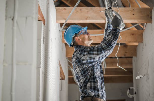 Best Generator Installation Services  in Dundee, MI