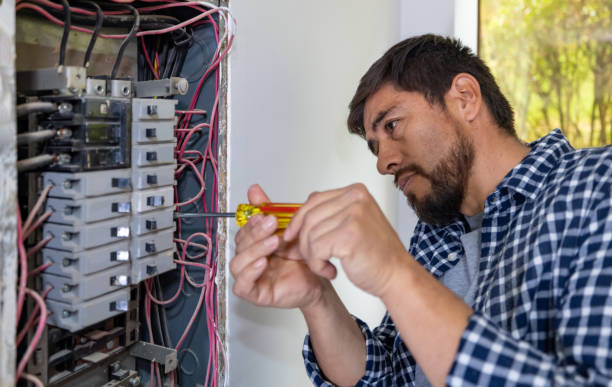Best Affordable Emergency Electrician  in Dundee, MI